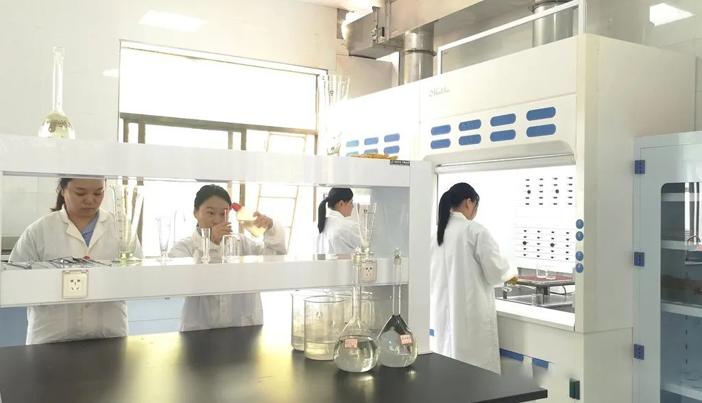 J9集团|国际站官网